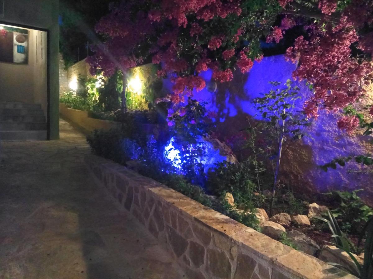 מלון Vília Xenonas Κithαiron מראה חיצוני תמונה